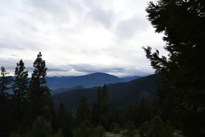 DSC_0063 (Large).JPG